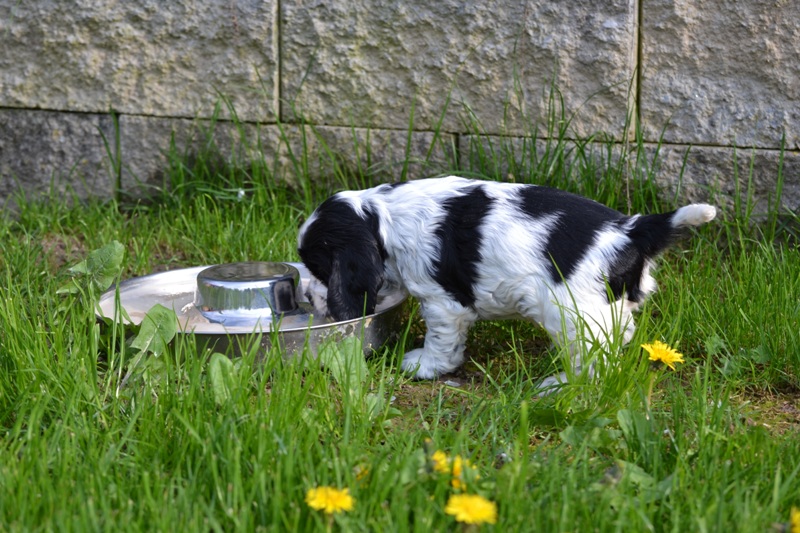 Vrh H a CH 01- Hanny.JPG